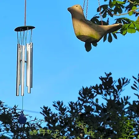 Absolut Oiseaux Hotel Brens (Tarn)