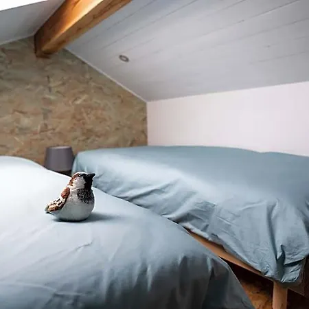 Absolut Oiseaux 2* Brens (Tarn)